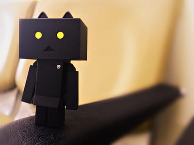 selective focus photography of Nyangbo mini cat thumbnail
