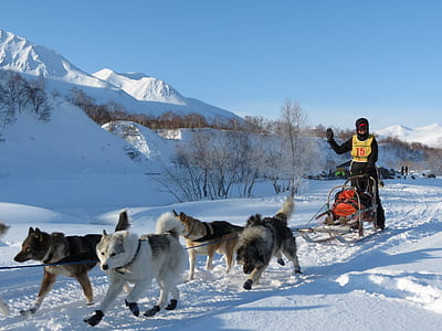 person riding on sled thumbnail
