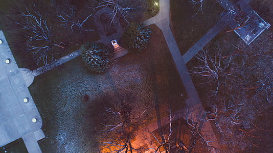 aerial photo of pathway and grass thumbnail