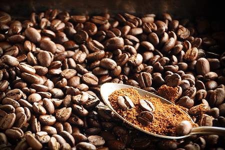 bunch of coffee beands thumbnail