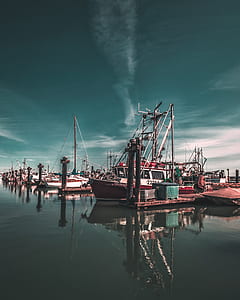white and red fishing boat on body of water thumbnail