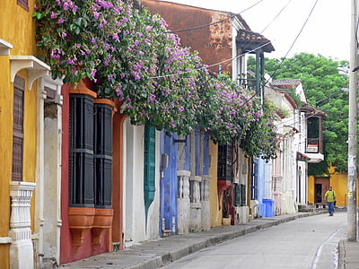 houses covered with flowers thumbnail