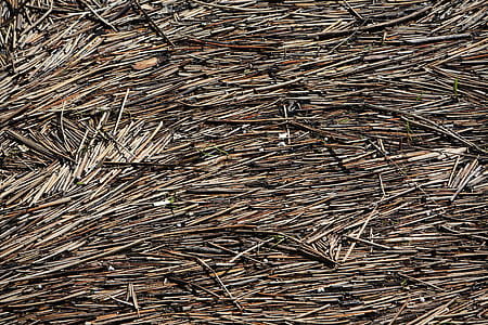 pile of brown sticks thumbnail