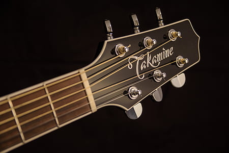 Brown and Black Takamine Guitar Headstock thumbnail