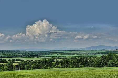 green plains under white clouds and blue sky thumbnail