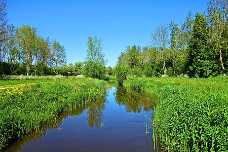 body of water surround by trees thumbnail