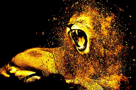 brown lion graphic wallpaper thumbnail