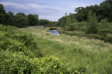 Grassfield landscape and bridge at Camrock County Park thumbnail
