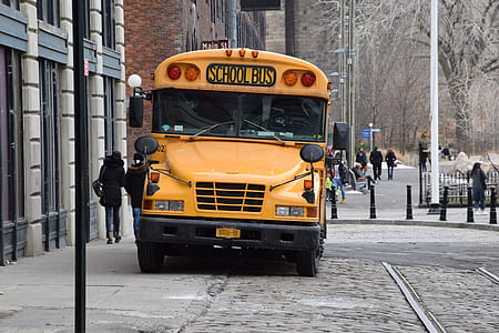 parked yellow school bus thumbnail