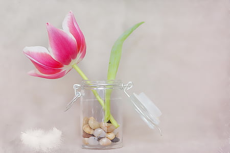 white and pink petaled flower in glass canister jar thumbnail