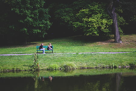 two person sitting on bench near body of water and trees during daytime thumbnail