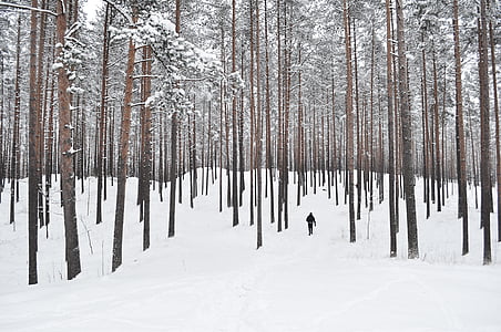 man walking on forest covered by snow thumbnail