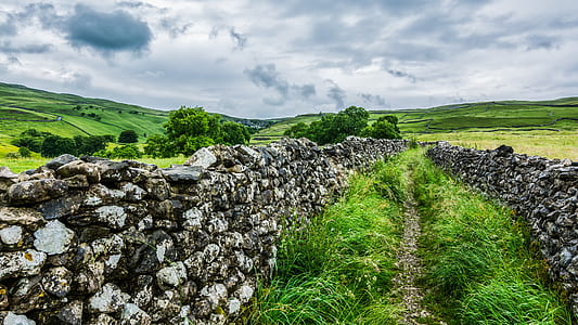 green plain field during daytime thumbnail