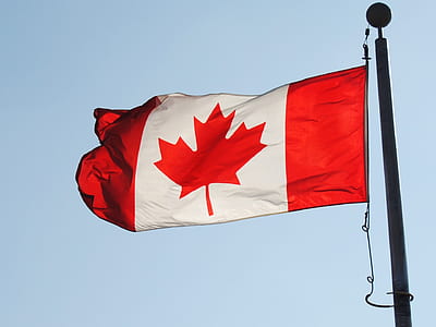 Canadian flag on black steel flag pole thumbnail