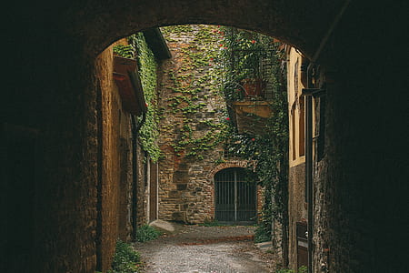 close up photo of tunnel thumbnail