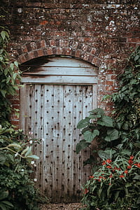 gray wooden door closed with green leafed plants beside it thumbnail