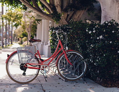 bike parked near plant thumbnail