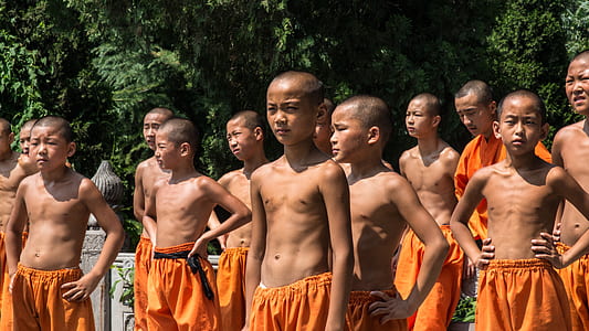 standing Shaolins surrounded by trees during daytime thumbnail