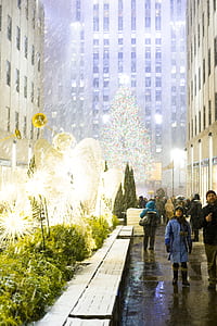 people in front of Christmas decor thumbnail