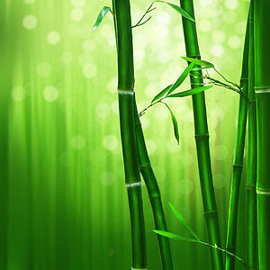 bamboo tree digital artwork thumbnail