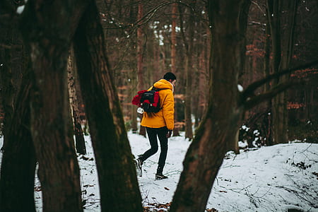man walking in the middle of forest during winter weather thumbnail