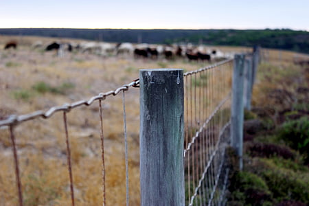gray metal fence near green field thumbnail