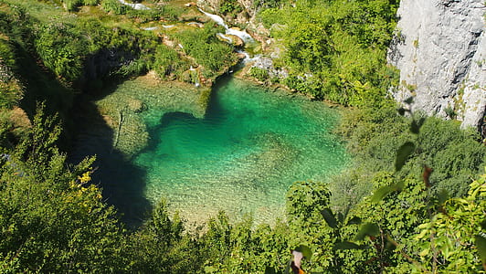 top view photography of body of water surrounded by trees thumbnail