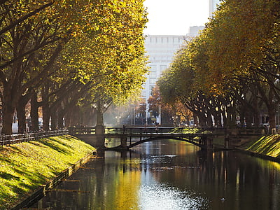 river between trees under bridge thumbnail