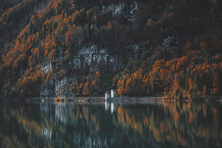 houses near orange leaved trees and body of water thumbnail