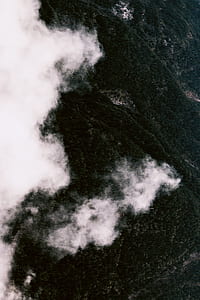 aerial photography of clouds and tree thumbnail