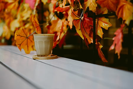 drinking glass on top of white wooden table thumbnail