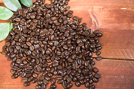 black coffee beans on brown wooden slab beside green leafed plant thumbnail