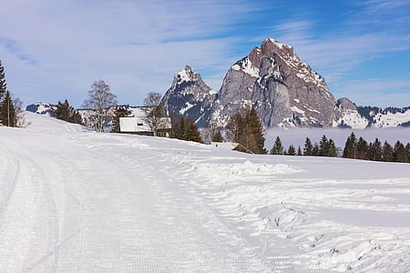 pathway coated by snow near mountains thumbnail