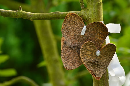 two brown wood hearts on green tree part thumbnail