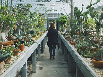 woman walking on pathway on greenhouse thumbnail