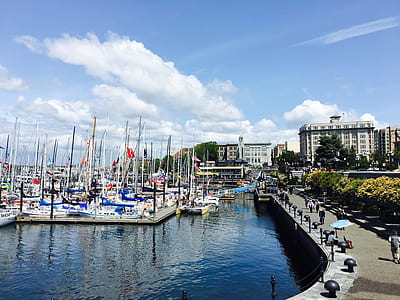 Landscape Photo of Boats on the Port thumbnail