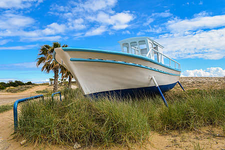 white and blue boat on green tall grass field at daytime thumbnail