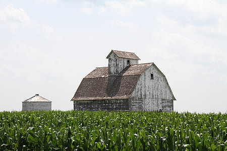 brown house near green grass field thumbnail