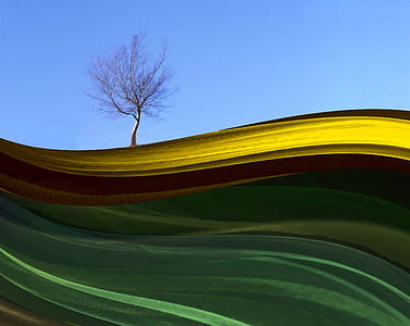 tree on top of mountain thumbnail