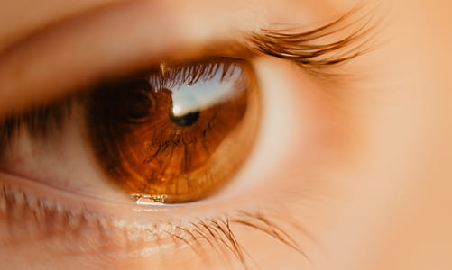 Close-up Photo of Unpaired Brown Eye thumbnail