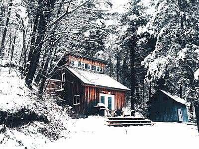 brown wooden house surrounded by green snow-covered trees thumbnail