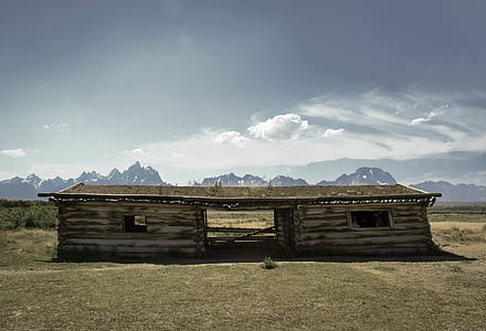 brown stable at the middle of meadow thumbnail