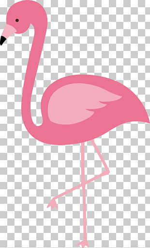 Flamingos Bird Euclidean , Red Flamingo , pink flamingo illustration PNG clipart