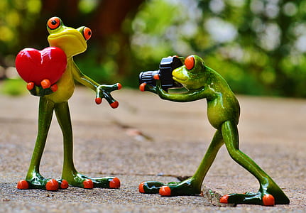 two green frog figures holding a heart and a camera thumbnail
