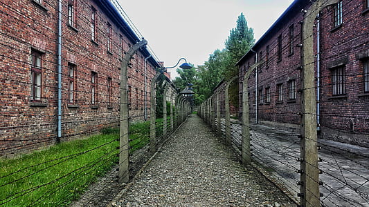 gray stone pathway between buildings thumbnail