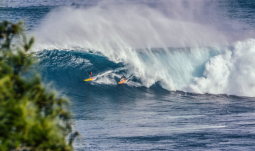 people surfing during daytime thumbnail