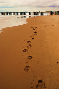 footprints in the sand in beach shoreline thumbnail