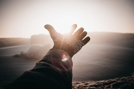 had, glove, pattern, sunlight thumbnail
