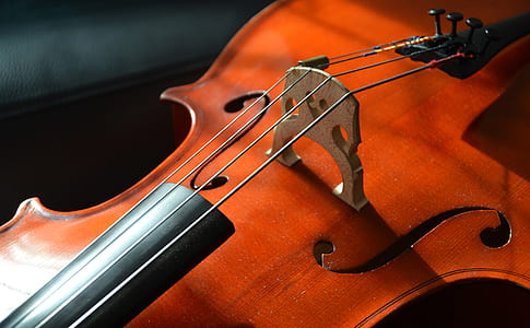 close up photography of brown violin thumbnail