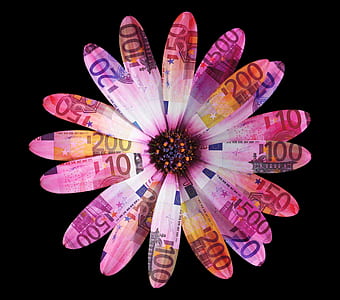 multicolored flowers thumbnail
